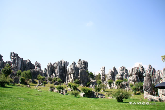 五一昆明旅游必去十个地方,昆明五一旅游推荐地点有哪些地方