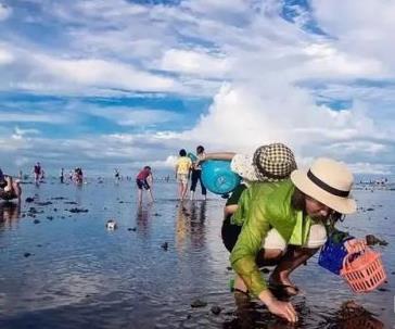 天津七里海赶海,偶遇赶海