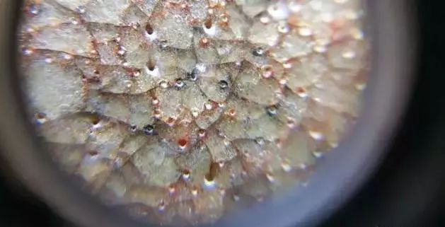 宋元明清瓷器釉下普遍出现气泡，原来是这个原因