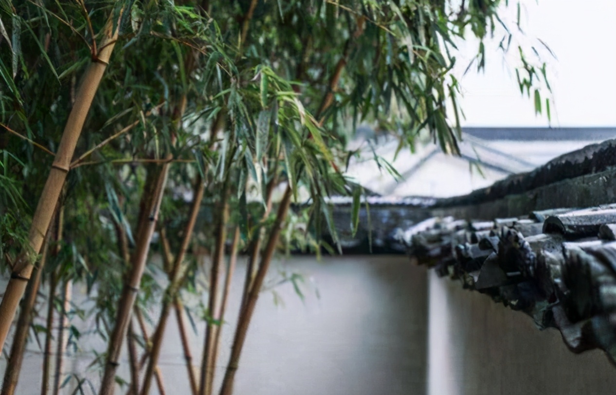 古语门前不栽树是什么意思,俗语说门前不栽竹