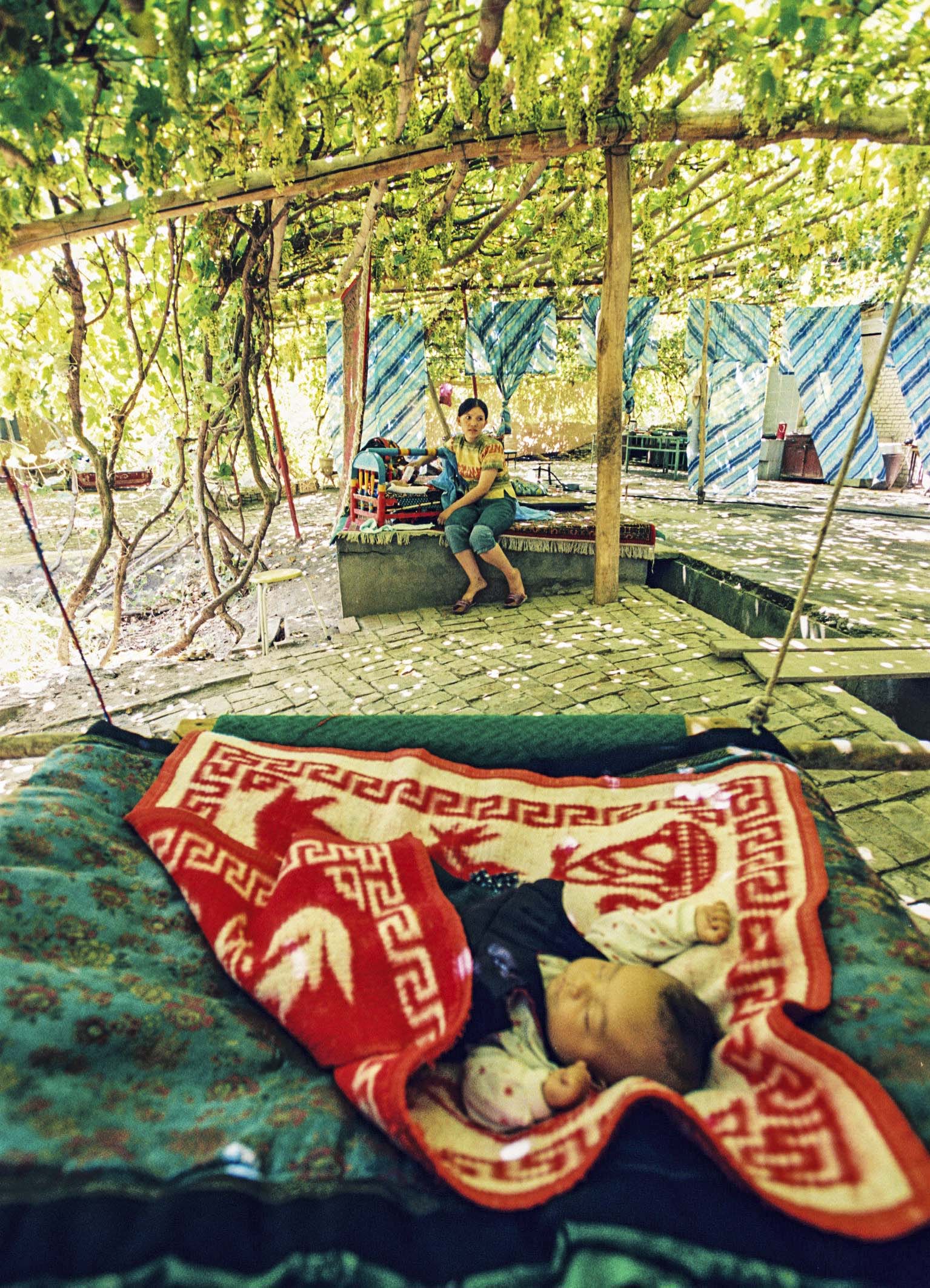 吐鲁番葡萄沟山水,新疆吐鲁番葡萄沟葡萄树的风景