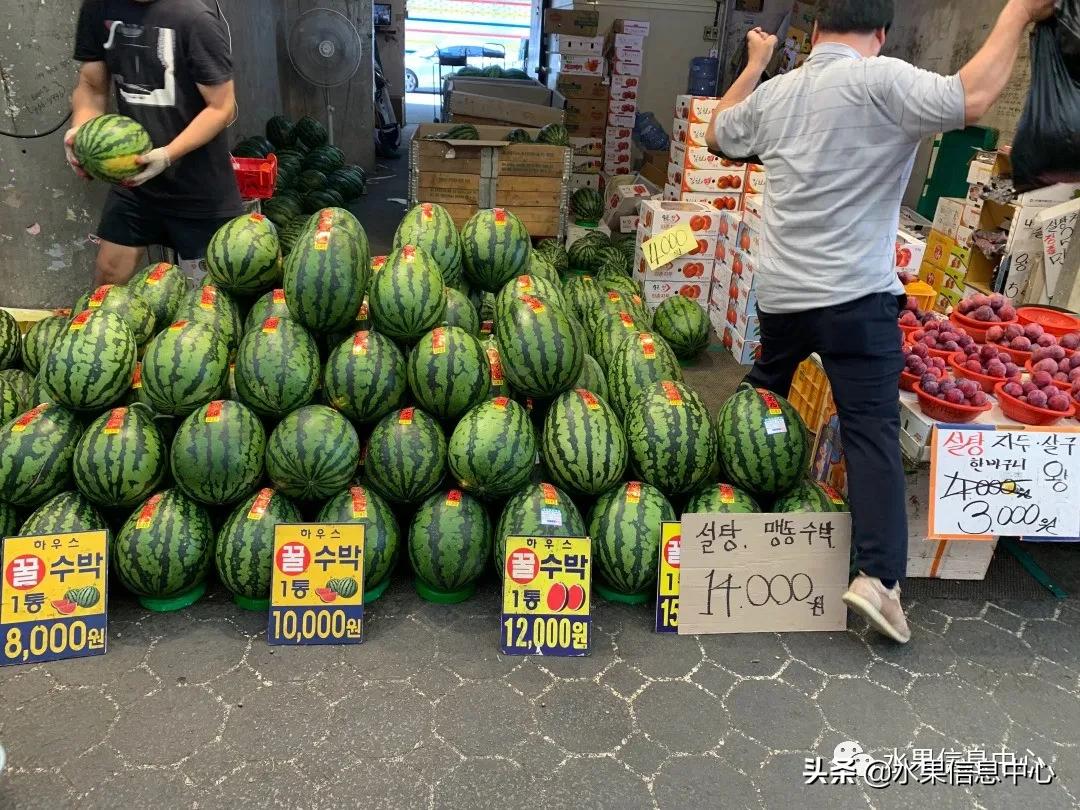 韩国水果批发市场进货渠道,韩国首尔最大的水果批发市场