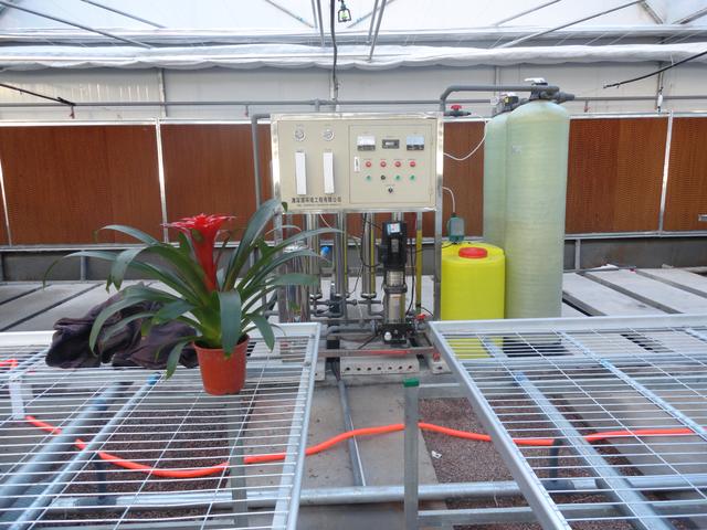 连栋温室玻璃大棚一亩地多少钱,3000平连栋温室大棚价格