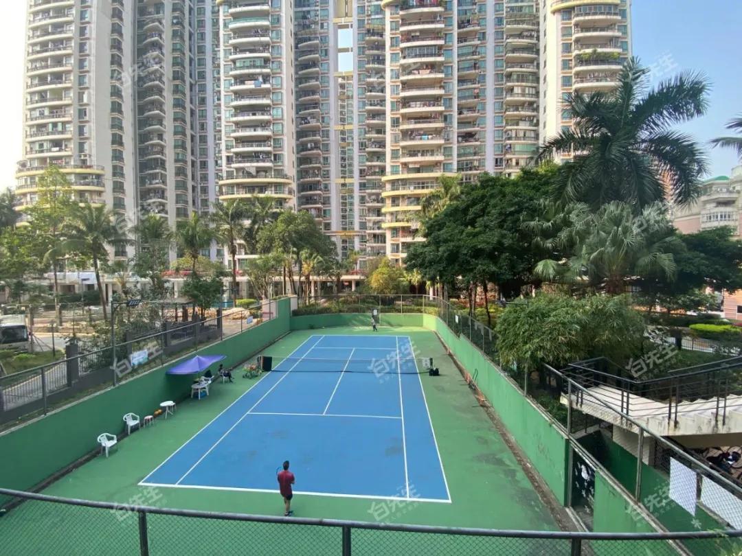 八大录取率名列前茅的二梯队石厦学校,学区房500万起