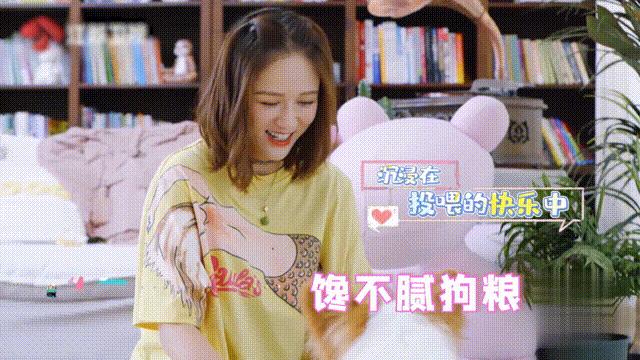 狗狗出门怎么随便走,狗狗出门溜怎么能不脏嘴