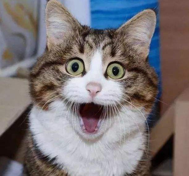 怎么判断自己是嘴唇厚还是凸嘴,凸嘴的困扰