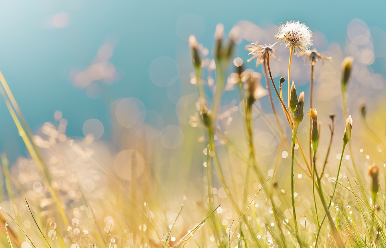 人到中年感悟挣钱不容易,人到中年要多赚钱老了才不悲惨