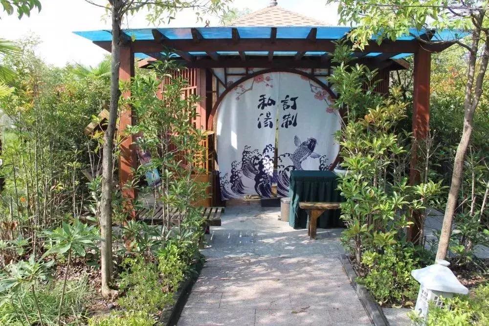 洛阳冬天泡温泉最好的地方,洛阳泡温泉的门票多少