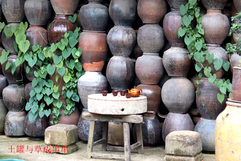 小容器种花草,别致花盆配什么花