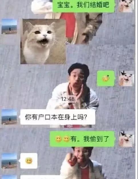 当“直男”遇到“直女”,高手过招,招招致命,汪:别伤害无辜