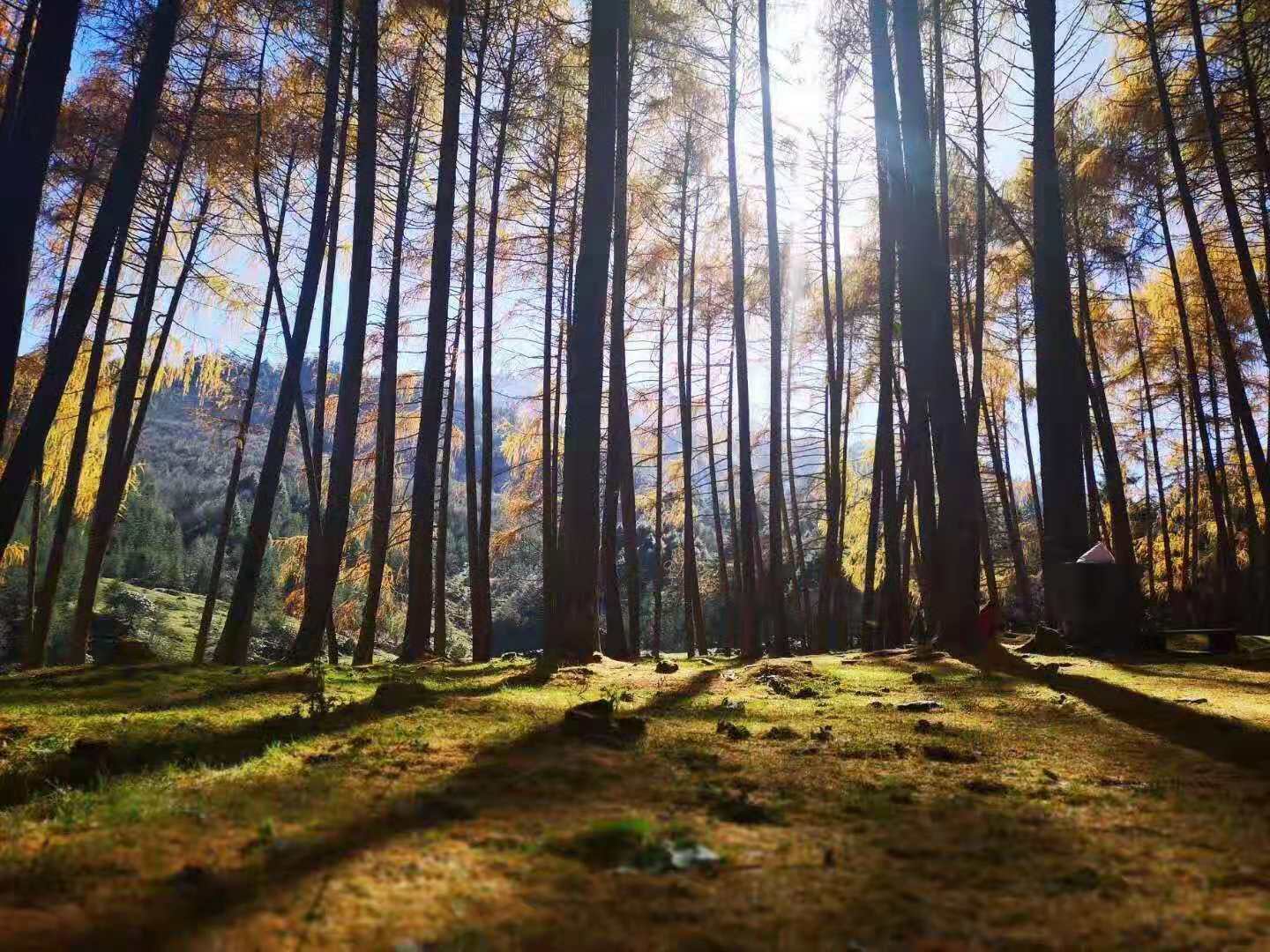 360度观景台,360度观景平台哪里好玩