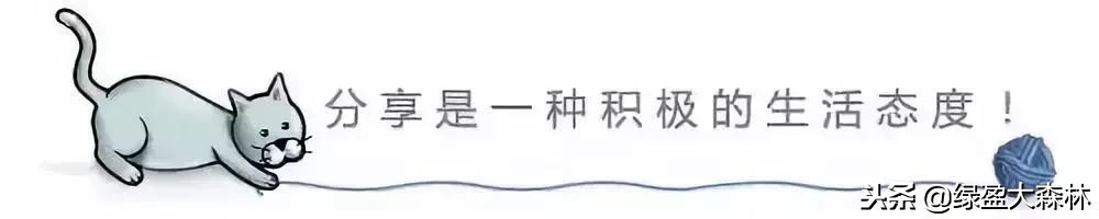 2020流行硅藻泥轻奢风格效果图,简约风格硅藻泥效果图大全