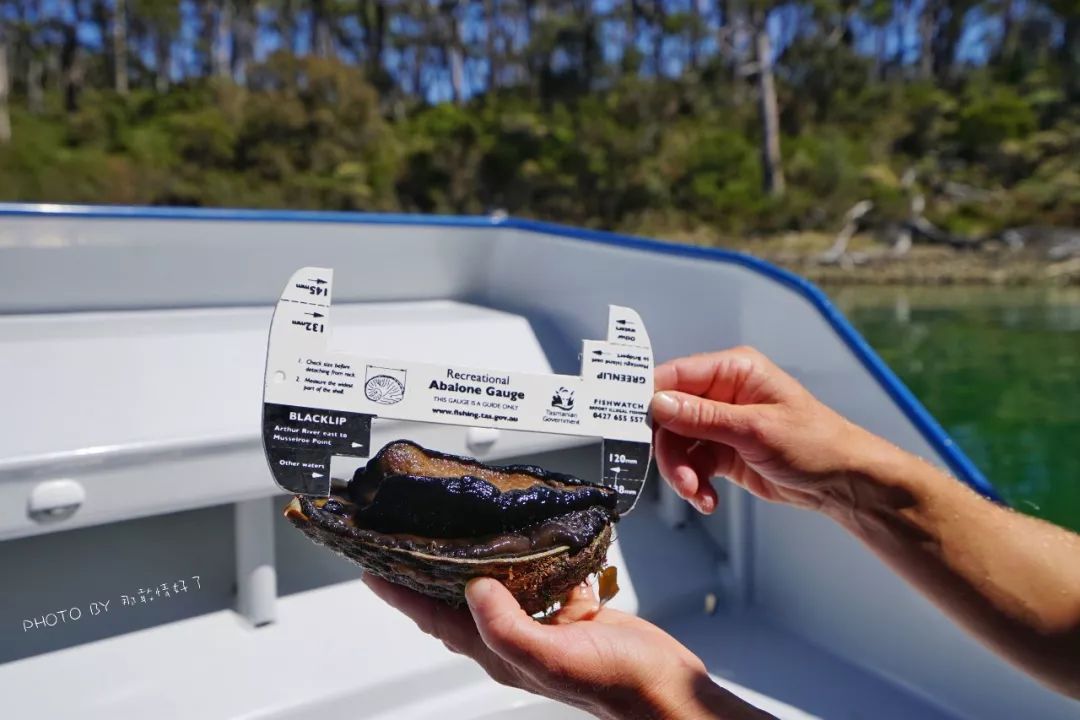 去哪里旅游可以看南极企鹅,旅游攻略南极看企鹅