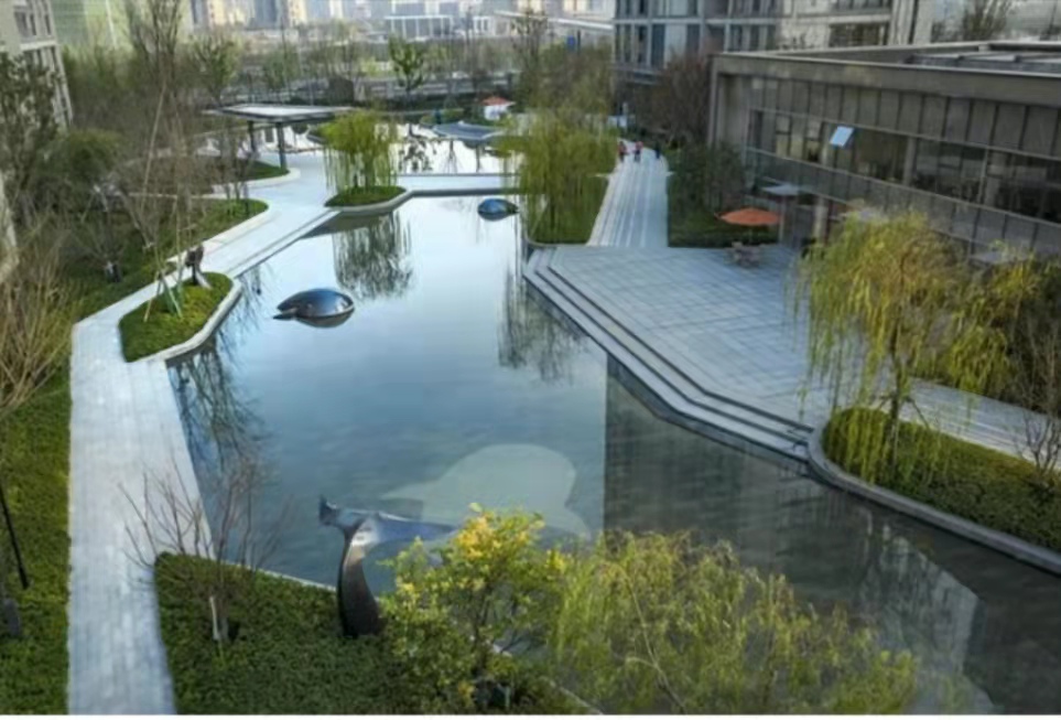 邂逅在HZ美丽的西雅图