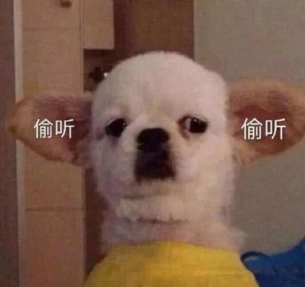 疫情期间留学生回国全过程,疫情下留学生该不该回国