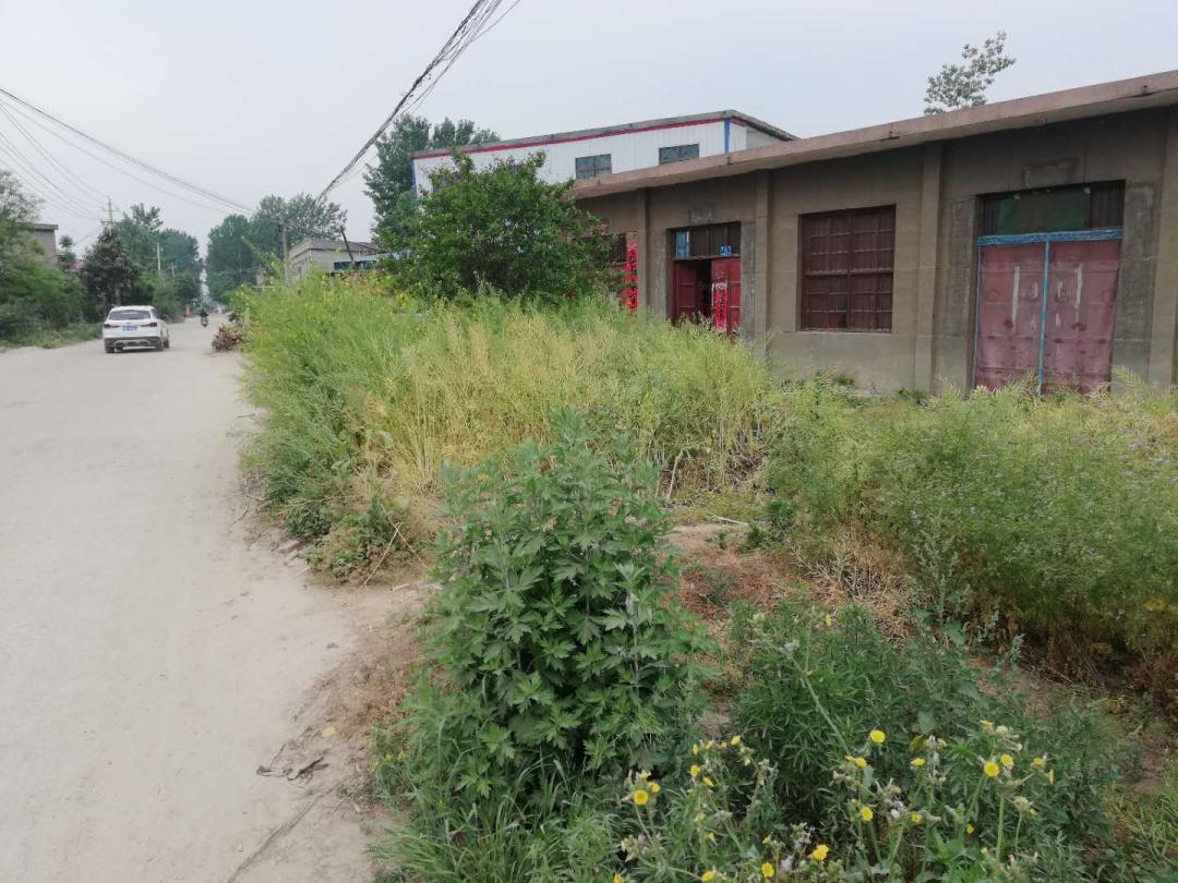 闲着木事儿，你来俺家玩儿呗