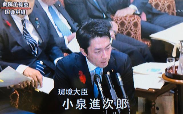 “安倍接班人”上任一月屡出洋相，强辩气候政策“性感”论再遭抨
