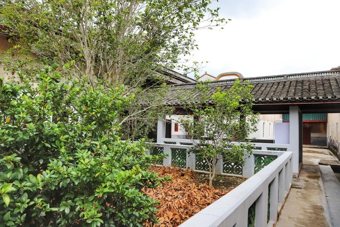 梅州采茶,梅州采茶体验