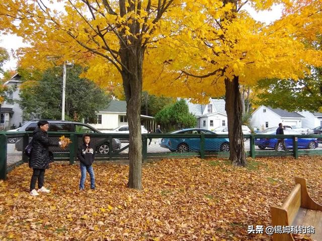 蔓越莓的秘密,蔓越莓小秘密大全