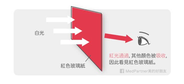 想要皮肤白,白里透红是什么颜色