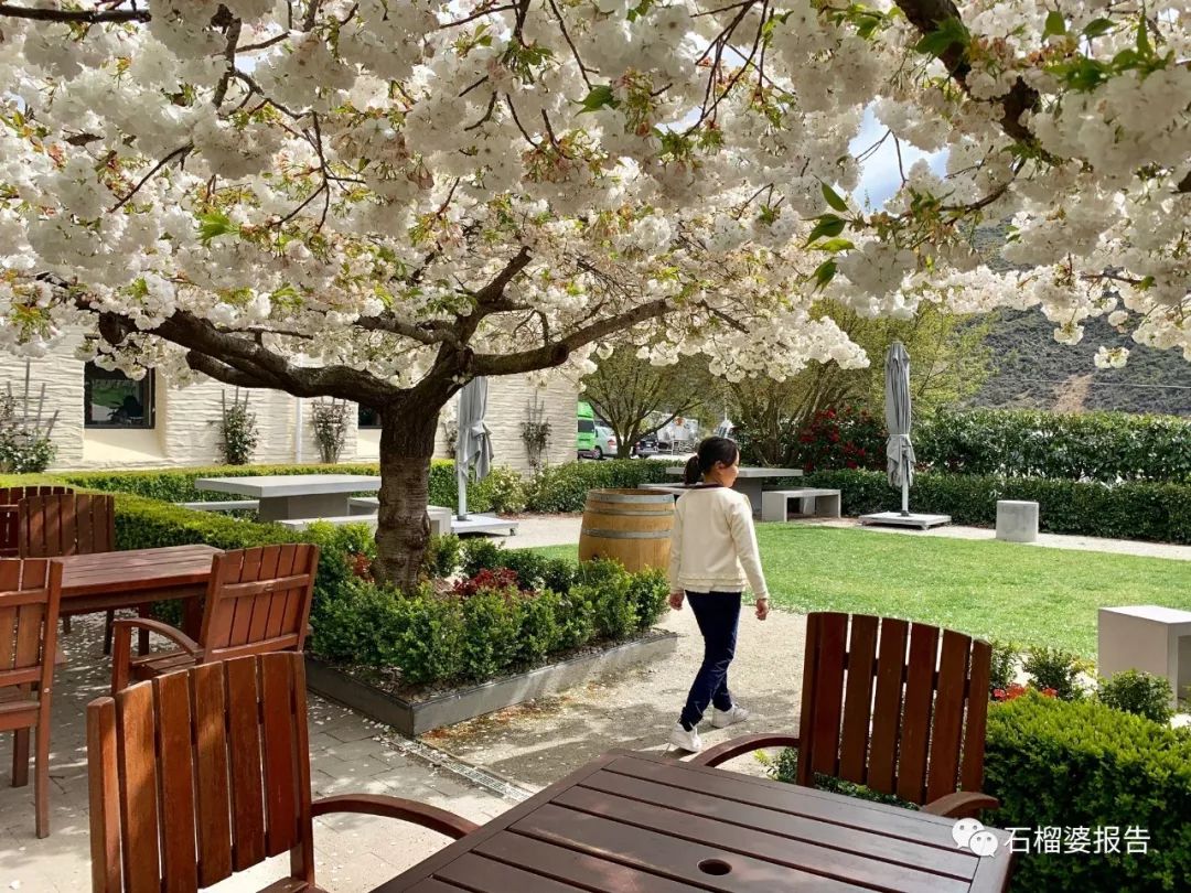旅行7天,七天游记的视频在线观看全集高清