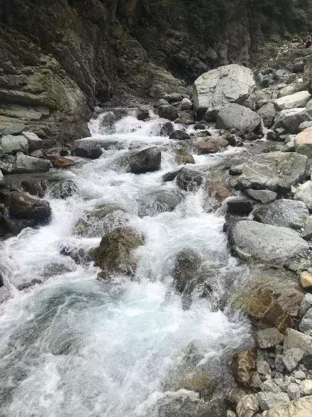 成都秋老虎发威的地方,成都秋老虎最新视频