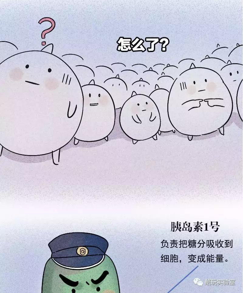 吃太多的糖会让你变胖,让你变丑变老的不是脂肪而是糖