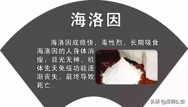 知识点有什么,知识点的重要性