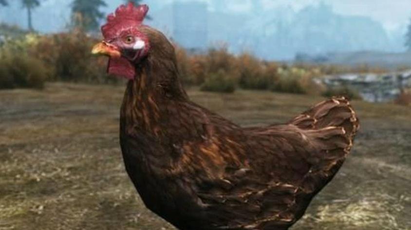 上古卷轴5五神整合,上古卷轴5各类mod讲解