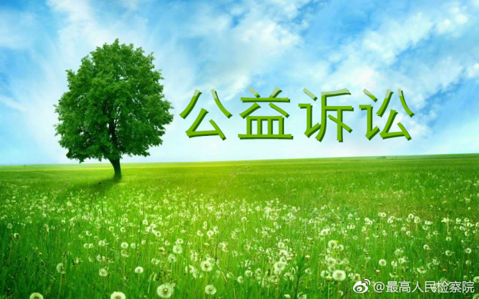 龙口市检察院案件查询,龙口市人民检察院