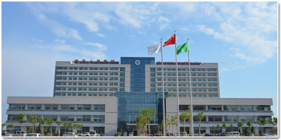 细数感动，勇于担当——采访河北省青县人民医院秦院长有感