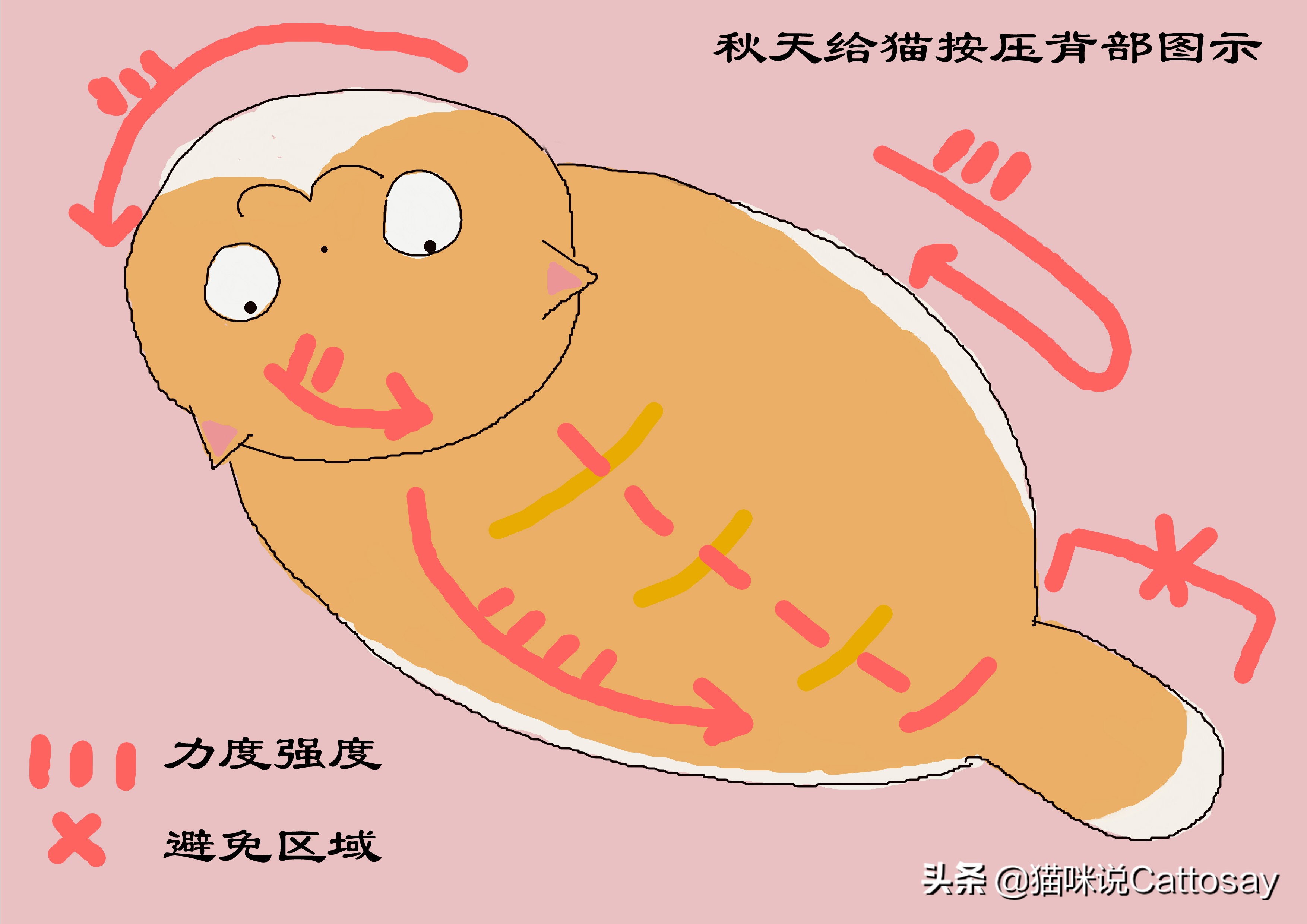 秋天猫容易掉毛不,秋天猫掉毛严重怎么办