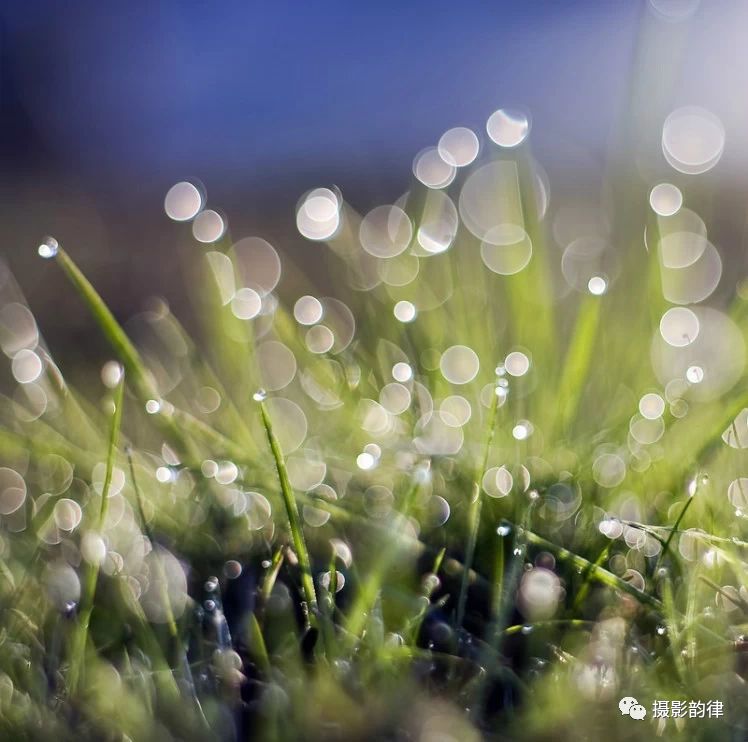 50mm定焦镜头需要偏振镜吗,全画幅50mm定焦镜有哪些