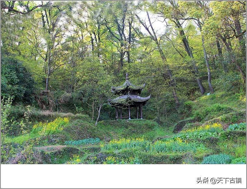 江西婺源江湾自由行攻略,江西婺源江湾景区