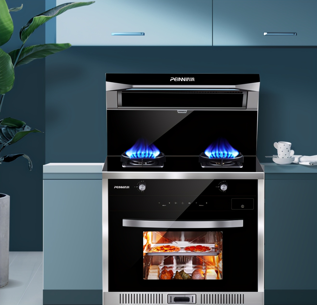 十大品牌集成灶代理加盟排行榜,集成灶加盟品牌排行榜前十名