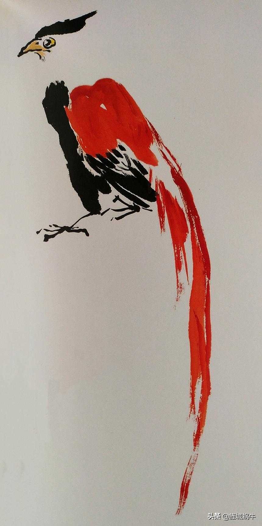 国画飞着绶带鸟的画法步骤,国画绶带鸟的画法