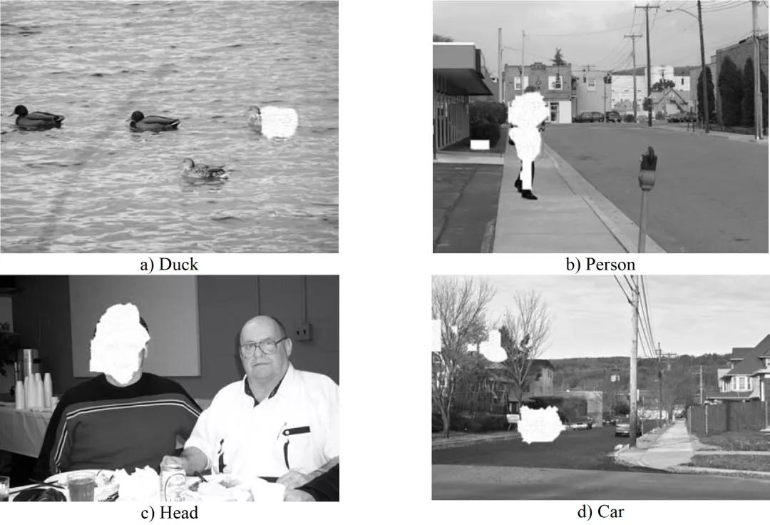 数字影像发展历史,互联网时代下的数字影像