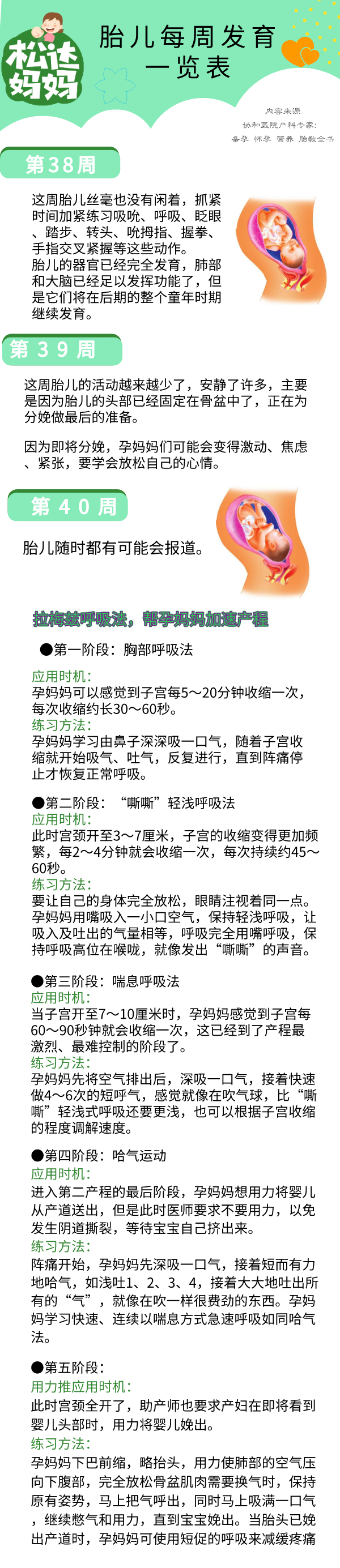 怀孕40周胎儿发育一览表，周周都有新变化！太神奇了