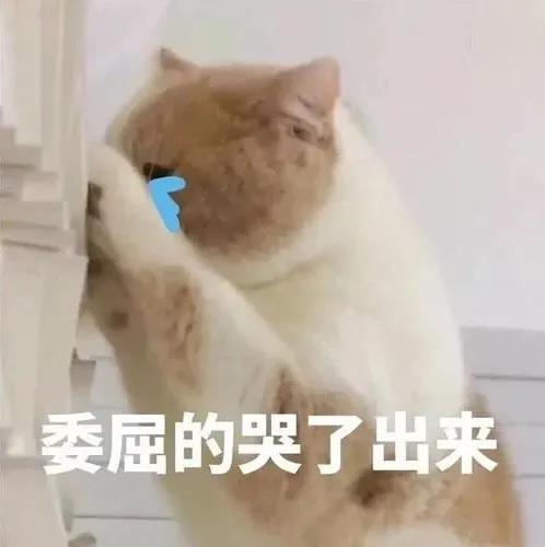 比较新的建站方式有几种,传统运营模式的优缺点