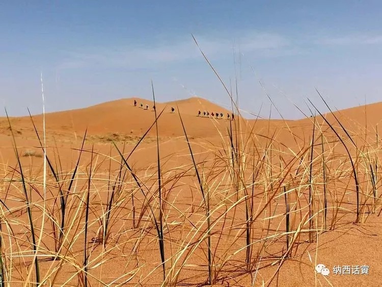 叶紫被雷劈穿越到异界,关于叶紫的穿越小说
