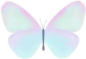 红桥力量|飞花点翠簇拥“精致汉阳”“高颜值”凸显生态宜居