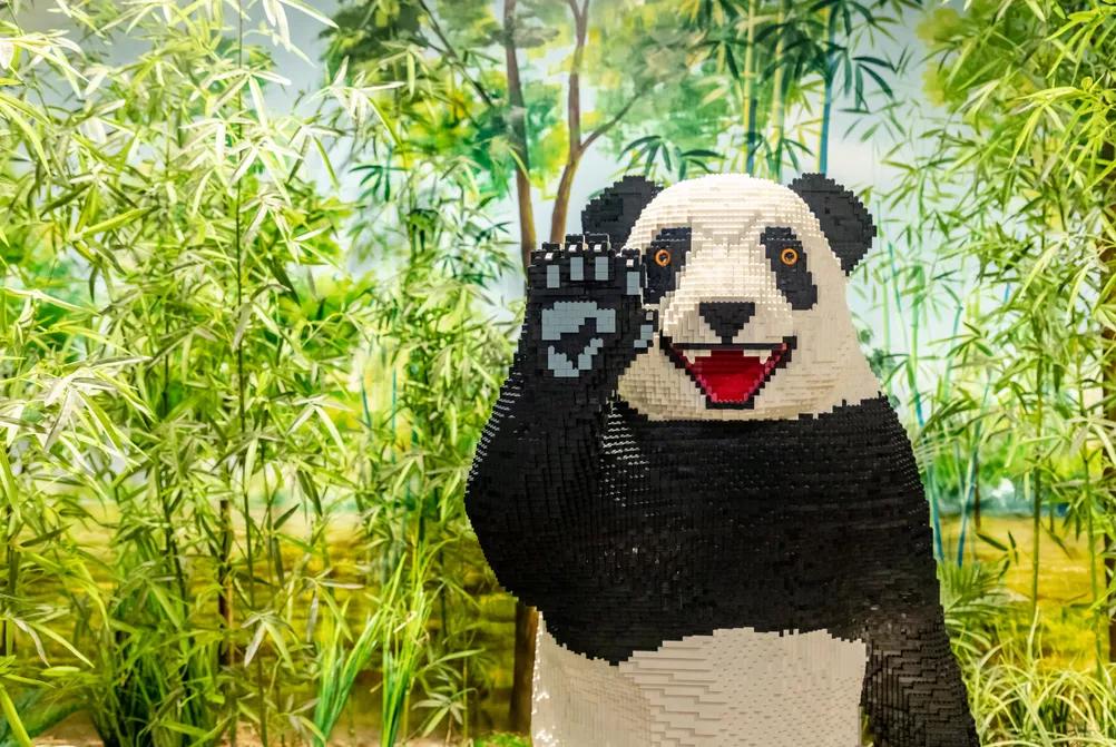 鍗佸ぇ鐑棬浜插瓙涔愬洯娣卞湷,鏂ヨ祫涓や嚎鐨勬父涔愬洯