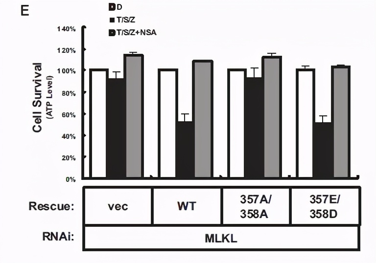 跟大牛学习,跟大牛学什么技术好