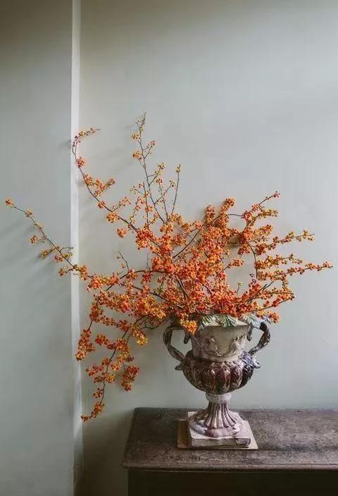 买花的套路和策略,买花的三个陷阱