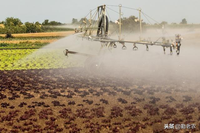 生态农业未来前景如何,生态农业发展趋势