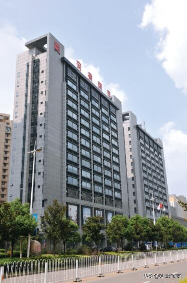 海螺集团为什么能跻身世界500强,海螺哪年进入世界500强