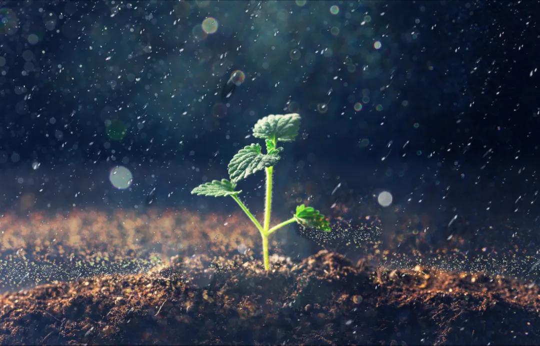 国内催泪纪录片抗癌之路,关于抗癌的励志纪录片