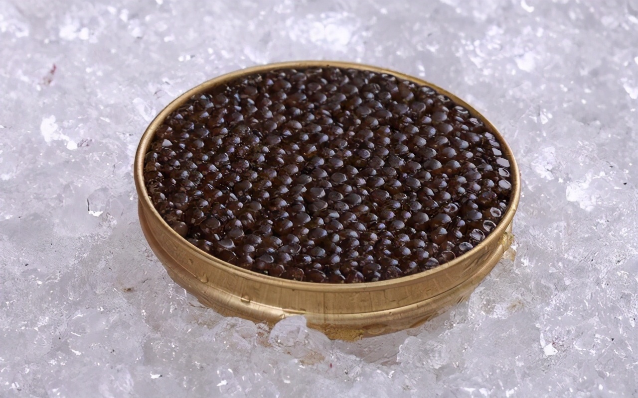 达氏鳇能活多少年,1028斤的巨型达氏鳇