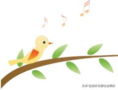 桂林优惠直播,广西桂林晚报直播