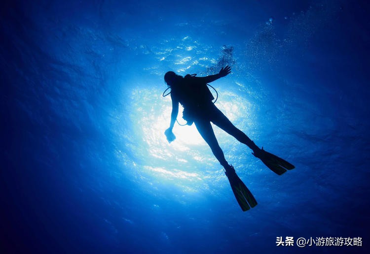 潜水小白必看,潜水圣地三天旅游攻略
